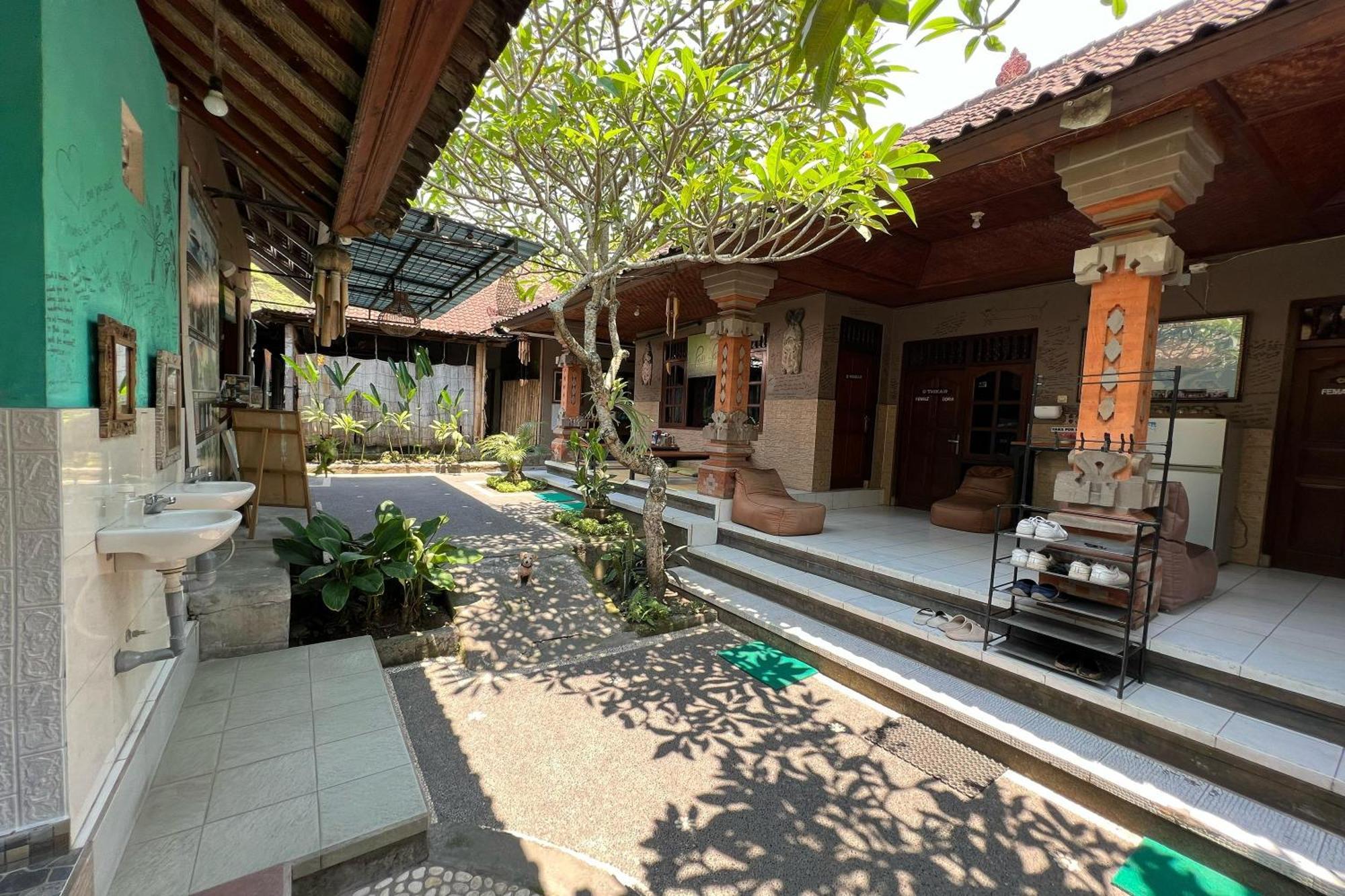Hostel Padi-padi & Bar