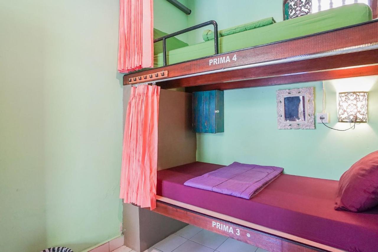 Padi-padi & Bar Hostel
